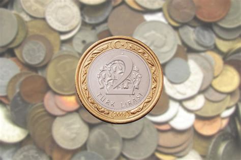 10 euro demir para kaç tl